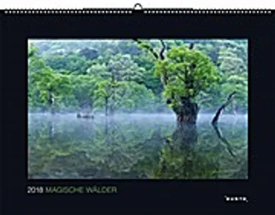 Produktbild von Magische Wälder 2018