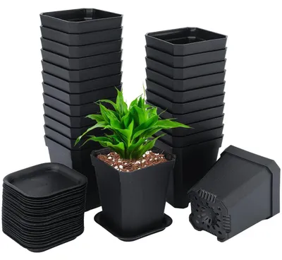 Immagine prodotto di Vasi per semina, vasi per piante, 7 cm, neri, in plastica, set da 24 con sottovasi