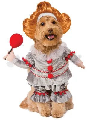 Image de Costume pour animaux de compagnie sur le thème du film "Ça", représentant Pennywise, pour chiens ou chats, taille M