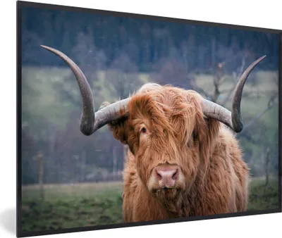 Produktbild von MuchoWow® MuchoWow® Gerahmtes Poster Schottisches Hochlandrind - Hörner - Berg 30x20 cm - Poster mit zchwarzem Bilderrahmen - Kunstdruck - Bild-Poster