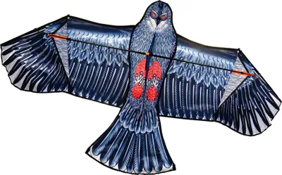 Produktbild von Flugdrache "Adler" (139x69cm) inkl. Schnur