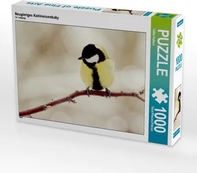 Produktbild von Calvendo Neugieriges Kohlmeisenbaby 1000 Teile Puzzle quer 640x480mm, Hultsch Heike; 7302991