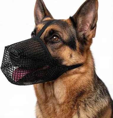 Productafbeelding van Muilkorf voor honden L - zachte mesh - verstelbaar - voorkomt bijten en likken - Vemera
