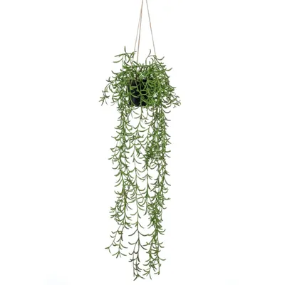 Produktbild von Emerald Kunstpflanze Senecio Hängend im Topf 70 cm