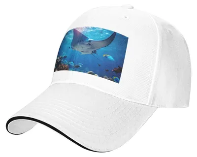 Image de Casquette de baseball avec motif "Animaux marins" - Casquette unie réglable