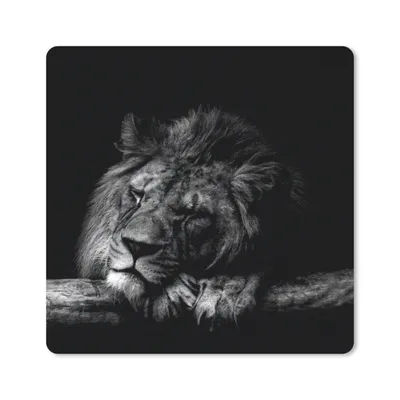 Produktbild von MuchoWow® Mauspad Mousepad Löwe - Baum - Schwarz - Weiß 20x20 cm - Mousepads - Maus Mat - Pad - Mausunterlage - Desk Mat - Bureauartikeln