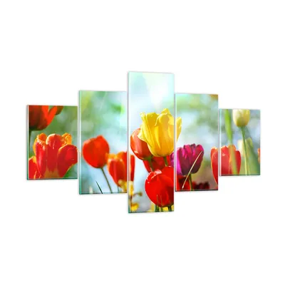 Produktbild von Bilder auf glas - Tulpe Blume Plantage Wiese - 125x70cm - Glasbilder - Wandbilder - Kunstdruck - zum Aufhängen bereit - Wanddekoration aus Glas - Glas Bilder - Wandbild auf Glas - GEA125x70-2566