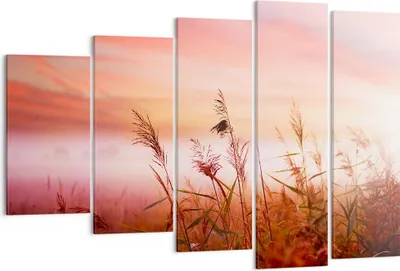 Produktbild von Bild auf Leinwand - Leinwandbild - Wiese Getreide Natur - 150x100cm - Wand Bild - Wanddeko - Leinwanddruck - Bilder - Kunstdruck - Wanddekoration - Leinwand bilder - Wandkunst - EG150x100-3530