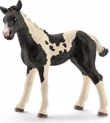 Produktbild von Schleich 13803 Spielzeugfigur Pinto Fohlen typisches geschecktes Fell