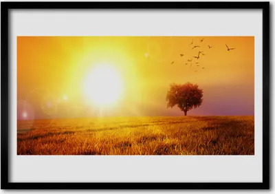 Produktbild von Bild 100x70 MDF-Rahmen Wandkunst Sunset Meadow Vögel