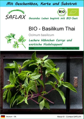 Produktbild von SAFLAX - Geschenk Set - BIO - Basilikum Thai - 250 Samen - Mit Geschenk- / Versandbox, Versandaufkleber, Geschenkkarte und Anzuchtsubstrat - Ocimum basilicum