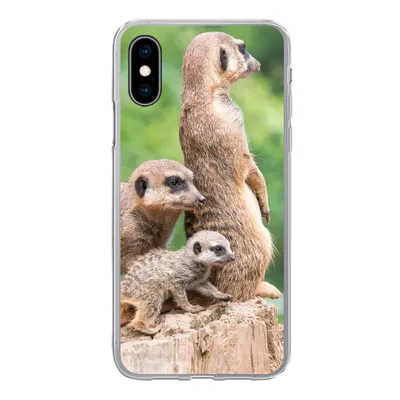 Produktbild von MuchoWow® Handyhülle Schutzhülle Hülle für iPhone X Erdmännchen - Baumstumpf - Jungtier Silikon Softcase Handy Hülle - Handyhülle