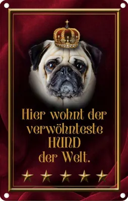 Produktbild von vianmo Blechschild 18x12 cm hier wohnt Hund der Welt Tier Haustier