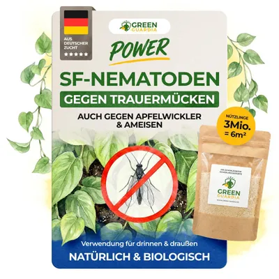 Produktbild von POWER SF-Nematoden gegen Trauermücken,3 Mio. für 30 Pflanzen(6m²),effektiv Trauermücken bekämpfen, & Chemiefrei,Trauermückenfrei mit GREEN GUARDIA
