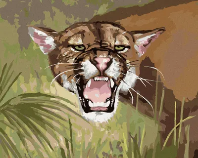 Produktbild von Zuty - Malen nach Zahlen - PUMA ZEIGT SEINE ZÄHNE (D. RUSTY RUST), 40x50 cm, mit Keilrahmen (bereits gespannt)