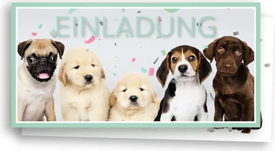 Produktbild von Friendly Fox Welpen Einladung, 12 Hunde Einladungskarten zum Kinder-Geburtstag Junge Mädchen, Einladung Hunde Geburtstag mit Briefumschlag, DIN lang