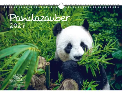 Produktbild von Pandazauber DIN A3 Kalender für 2027 Panda - Seelenzauber