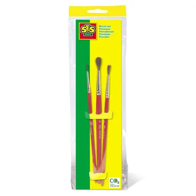 Image de SES Brosses 3 pièces 00390
