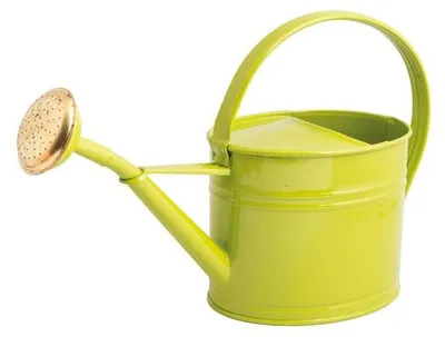 Image de Arrosoir Ovale Guillouard Design élégant Et Durabilité - Guillouard Nogent