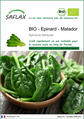 Image de SAFLAX  -- Epinard - Matador - 300 graines - Spinacia