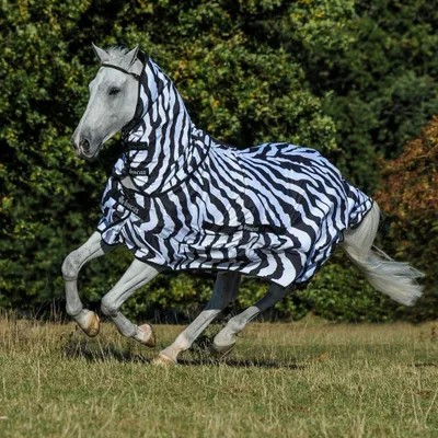 Produktbild von Bucas Ekzemerdecke Sweet-itch Zebra