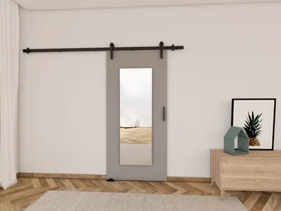 Produktbild von Schiebetür mit Spiegel BUSHLAND 9 - 96 cm, grau