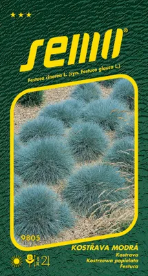 Produktbild von Saatgut für Blauschwingel - Varna 0,4g