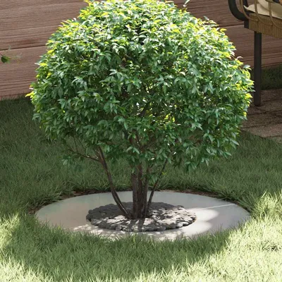 Produktbild von vidaXL geeignet für flachen Baumring Silber Ø30 / 60 cm Verzinkter Stahl
