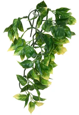 Produktbild von Exo Terra Planta Ampallo Small 32 Cm Pt3001