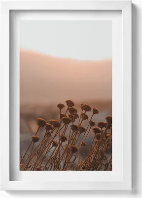 Produktbild von Boho romantische Graslandschaft– Wandbild mit Rahmen – Gerahmtes Bild  – Wanddekoration – 20x30 cm – Weiß