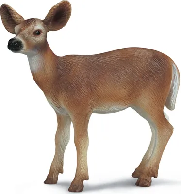 Produktbild von Schleich 14254 - Weißwedelkuh