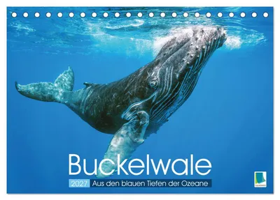 Produktbild von Buckelwale: Aus den blauen Tiefen der Ozeane (Tischkalender 2027 DIN A5 quer), CALVENDO Monatskalender