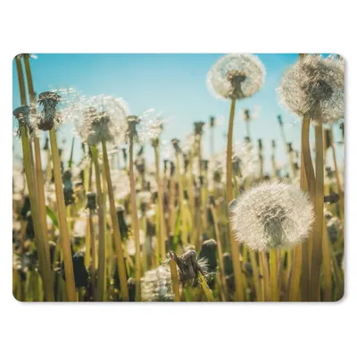 Produktbild von MuchoWow® Mauspad Mousepad Blumen - Löwenzahn - Gras 23x19 cm - Mousepads - Maus Mat - Pad - Mausunterlage - Schreibtischunterlage - Mauspad