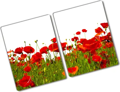 Produktbild von Tulup Glas Herdabdeckplatte - 2x40x52 cm - Glaskeramikkochfeld-Abdeckung Spritzschutz Glasabdeckplatte Kochplattenabdeckung und Schneidebrett - Zweiteilig - Blumen & Pflanzen - Feldmohnblumen - Rot