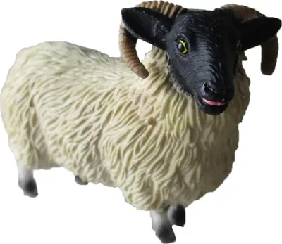 Image de Beran