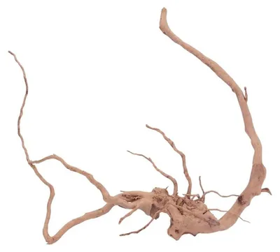 Produktbild von XXL Moorkienwurzel Nr.4338 Holz Deko Aquascaping