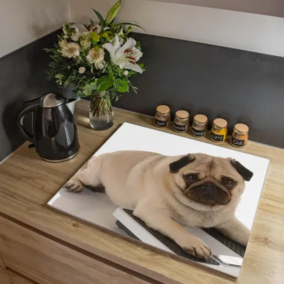 Zdjęcie produktu dla Jednoczęściowa osłona kuchenki Banjado o wymiarach 60 x 52 cm z gumowymi podkładkami dystansowymi, szkło bezpieczne ESG z motywem mopa [HAP1 10032]