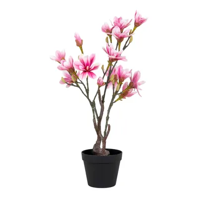 Immagine prodotto di Pianta artificiale di magnolia H74 cm verde, rosa.