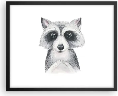Produktbild von Gerahmtes Poster - Schwarzer Rahmen - Waschbär Bild Kinder - 50x40 cm - Wand Bild - Wanddeko - Wandbilder - Kunstposter - Wandposter - Bilderrahmen - Bilder - Kunstdruck - P2BAA50x40-4607