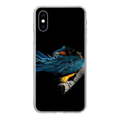 Produktbild von MuchoWow® Handyhülle Schutzhülle Hülle für iPhone X Vogel - Federn - Zweig - Schwarz Silikon Softcase Handy Hülle - Handyhülle