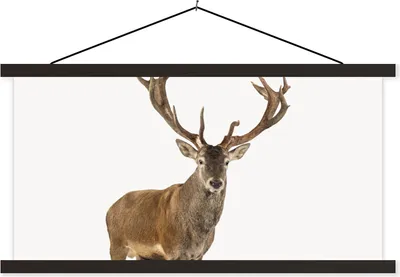 Produktbild von MuchoWow® Textilposter Hirsche - Tiere - Geweih - Kinder - Mädchen - Jungen 90x45 cm mit schwarzem Rahmen - Klemmleisten