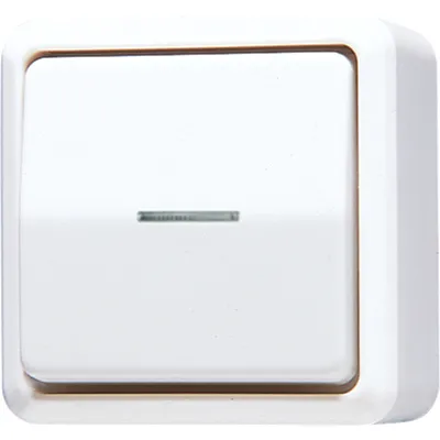 Produktbild von Jung 606KO5AWW Wipp-Kontrollschalter 10 AX 250 V