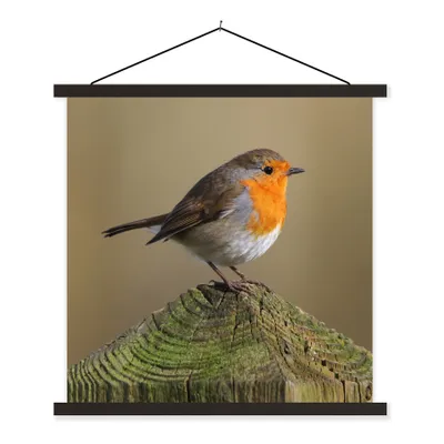 Produktbild von MuchoWow® Textilposter Vogel - Rotkehlchen - Holz 90x90 cm mit schwarzem Rahmen - Magnetisches