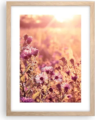 Produktbild von Gerahmtes Poster - Rahmen in heller Eiche - Wiese Blumen Sonne - 30x40 cm - Wand Bild - Wanddeko - Wandbilder - Kunstposter - Wandposter - Bilderrahmen - Bilder - Kunstdruck - P2NPA30x40-4819