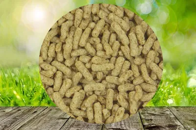 Produktbild von Fisch Fit Teichsticks Standard 5 kg