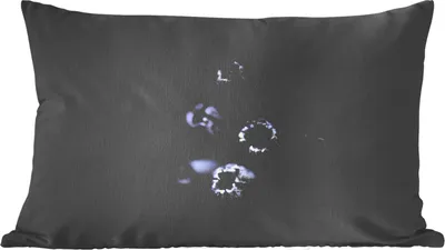 Produktbild von MuchoWow® Zierkissen Sofakissen Wohnzimmer Dekokissen 50x30 cm Nahaufnahme von lila Lavendel vor schwarzem Hintergrund - Wohnzimmerdekoration - Polster mit Photo