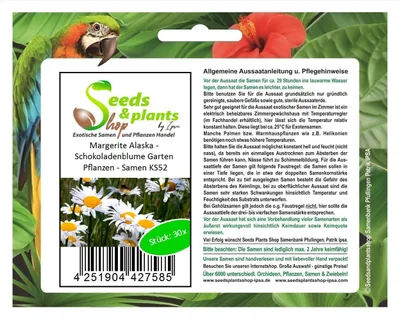 Immagine prodotto di 30x Marguerite Alaska - Piante da giardino di fiori di cioccolato - Semi KS52