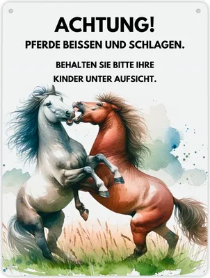 Produktbild von Pferd Metallschild XL in 21x28 cm mit Spruch Vorsicht Pferde beißen schlagen