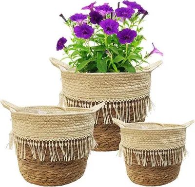 Image de Paniers à fleurs pour plantes - Décoratifs et fonctionnels - Lot de 3 - Jonc de mer