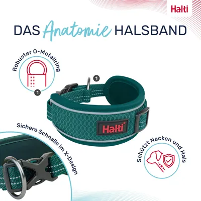 Produktbild von Halti Anatomie Hundehalsband | Größe S, Blaugrün